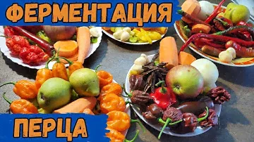 5 рецептов ферментированного соуса из острого перца Каролина рипер, Хабанеро, Кайенский и др.