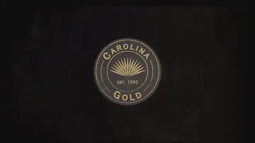 Limited Edition Carolina Gold Collection