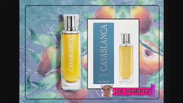 CASABLANCA Swiss Arabian reseña de perfume árabe
